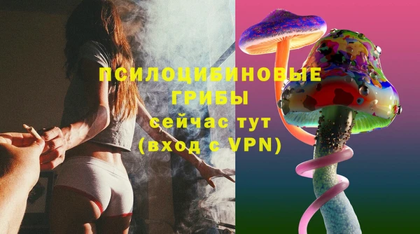 гидропоника Новодвинск