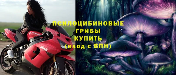 Альфа ПВП Новокубанск