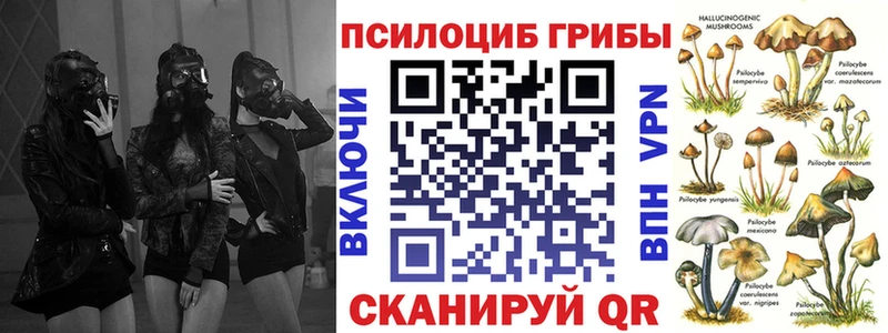 Псилоцибиновые грибы MAGIC MUSHROOMS  Купить закладки  Жуковский 