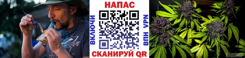 Бошки Шишки White Widow  Купить где  Жуковский 